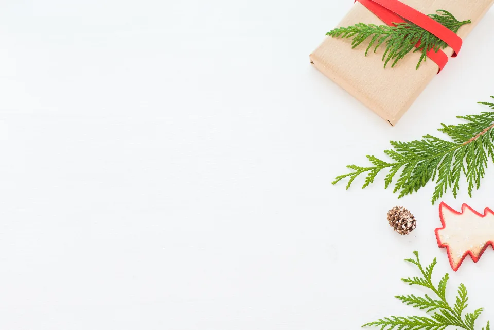 Kraft paper gift tied with red ribbon next to fresh evergreen sprigs
